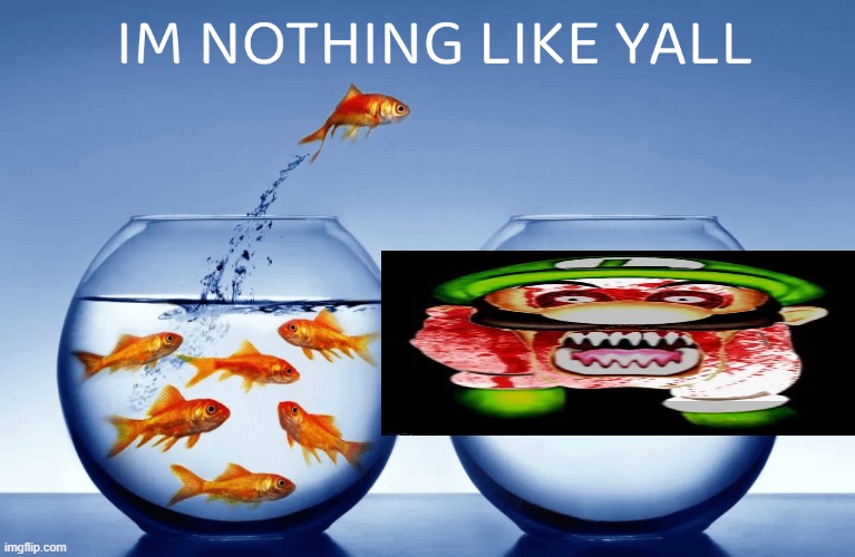 I’m nothin like yall | image tagged in i m nothin like yall | made w/ Imgflip meme maker