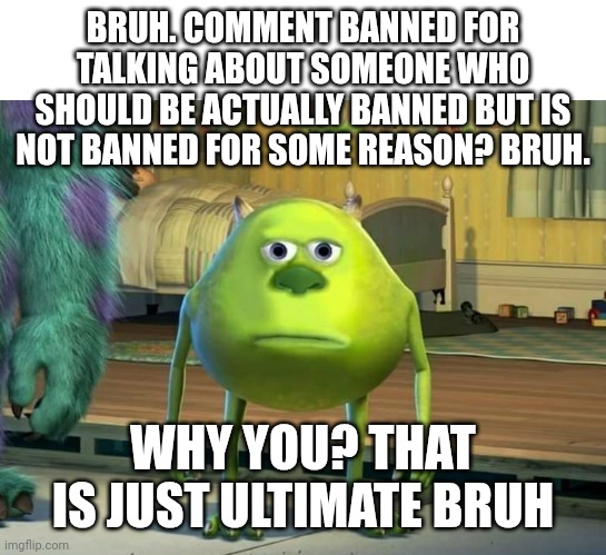 Mike Wazowski Bruh | BRUH. COMMENT BANNED FOR TALKING ABOUT SOMEONE WHO SHOULD BE ACTUALLY BANNED BUT IS NOT BANNED FOR SOME REASON? BRUH. WHY YOU? THAT IS JUST ULTIMATE BRUH | image tagged in mike wazowski bruh | made w/ Imgflip meme maker
