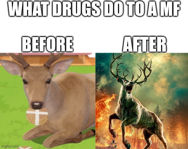 don't do drugs! | WHAT DRUGS DO TO A MF; AFTER; BEFORE | image tagged in drugs | made w/ Imgflip meme maker