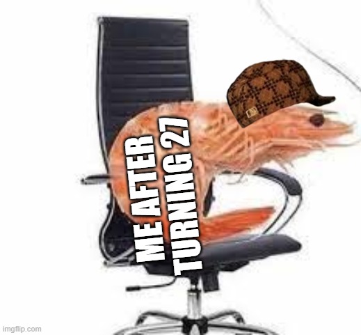 shrimp | ME AFTER TURNING 27 | image tagged in chair shrimp,spine | made w/ Imgflip meme maker