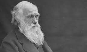 Charles Darwin Blank Meme Template