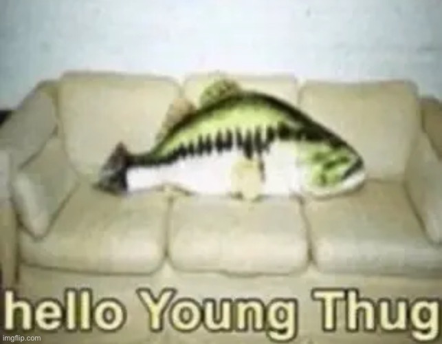 Fish | made w/ Imgflip meme maker