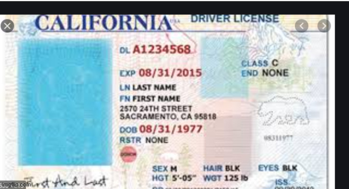 fake driver's license | image tagged in fake driver's license | made w/ Imgflip meme maker
