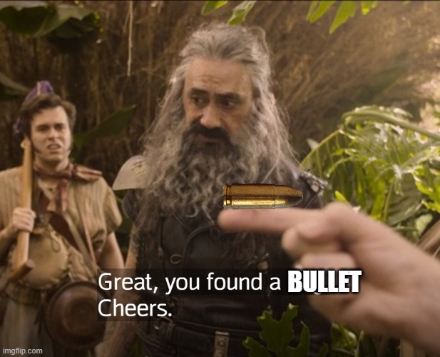 Great you found a bug | BULLET | image tagged in great you found a bug | made w/ Imgflip meme maker