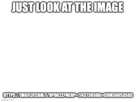 Blank White Template | JUST LOOK AT THE IMAGE; HTTPS://IMGFLIP.COM/I/9POH2Z?NERP=1743730588#COM36053505 | image tagged in blank white template | made w/ Imgflip meme maker