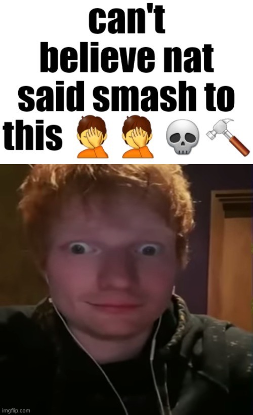 bringing ts back because nat said smash to a new THING (will delete this if you're not comfortable btw) | image tagged in can t believe nat said smash to this | made w/ Imgflip meme maker