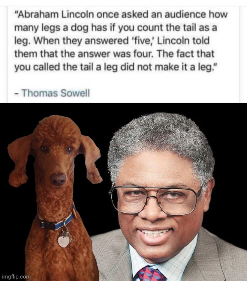 Thomas Sowell and the 5 legged dog | image tagged in thomas sowell,poodle | made w/ Imgflip meme maker