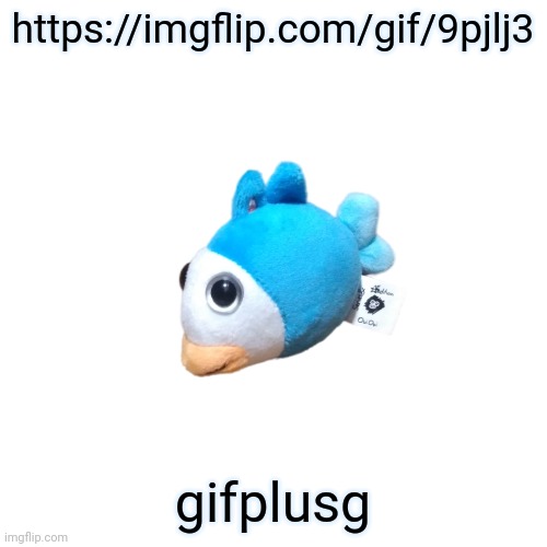 https://imgflip.com/gif/9pjlj3 | https://imgflip.com/gif/9pjlj3; gifplusg | image tagged in blue fish ouioui | made w/ Imgflip meme maker