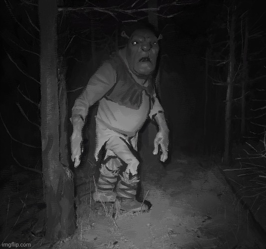 I was exploring my local swamp and found Shrek. (He is so chill ngl) | made w/ Imgflip meme maker