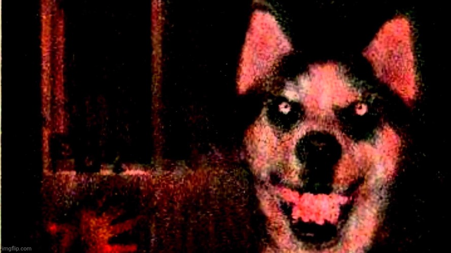 I think my dog is kinda autistic. | made w/ Imgflip meme maker