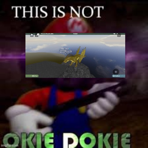 This is not okie dokie | image tagged in this is not okie dokie | made w/ Imgflip meme maker