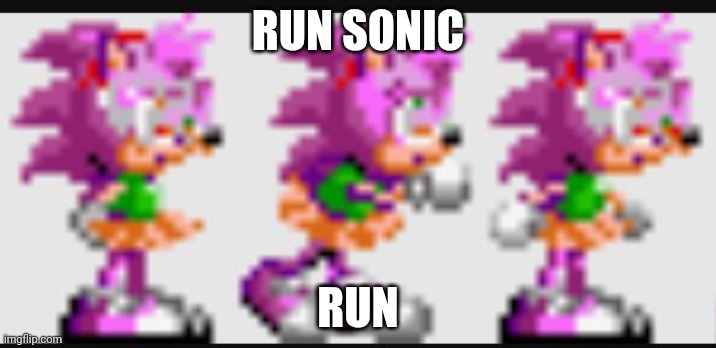 Run sonic run | RUN SONIC RUN | image tagged in run sonic run | made w/ Imgflip meme maker