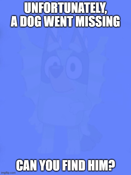 Unfortunately, a dog went missing | UNFORTUNATELY, A DOG WENT MISSING; CAN YOU FIND HIM? | image tagged in custom bsod | made w/ Imgflip meme maker
