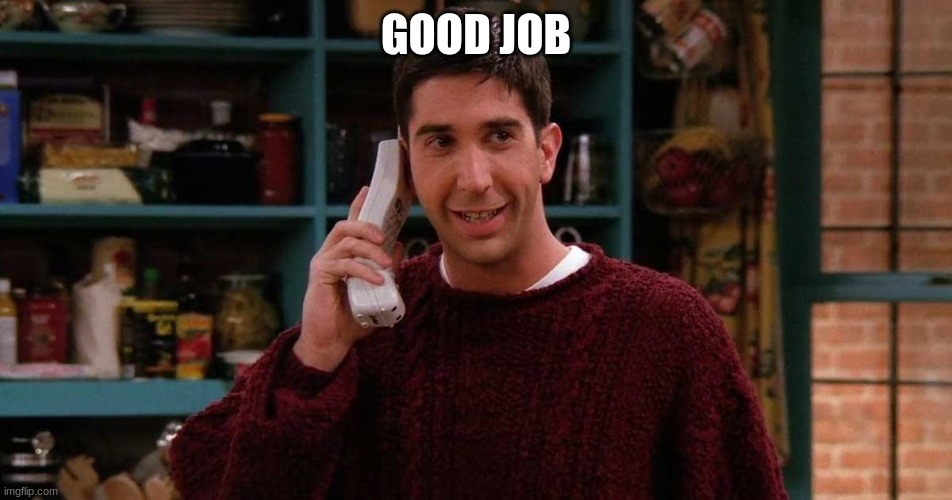 ross geller | GOOD JOB | image tagged in ross geller | made w/ Imgflip meme maker