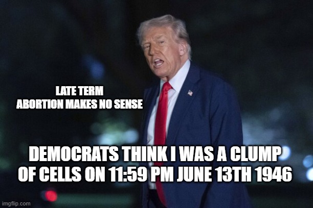 ban late term abortions | LATE TERM ABORTION MAKES NO SENSE; DEMOCRATS THINK I WAS A CLUMP OF CELLS ON 11:59 PM JUNE 13TH 1946 | made w/ Imgflip meme maker