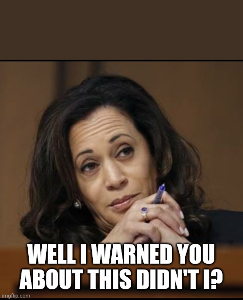 She told us | WELL I WARNED YOU ABOUT THIS DIDN'T I? | image tagged in kamala harris,trump,tariffs,maga,nevertrump,trump sucks | made w/ Imgflip meme maker