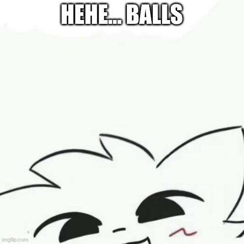 Boykisser :3 | HEHE... BALLS | image tagged in boykisser 3 | made w/ Imgflip meme maker
