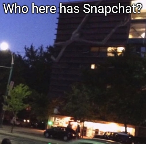 GET THE FUCK DOWN FROM THERE | Who here has Snapchat? | image tagged in get the fuck down from there | made w/ Imgflip meme maker