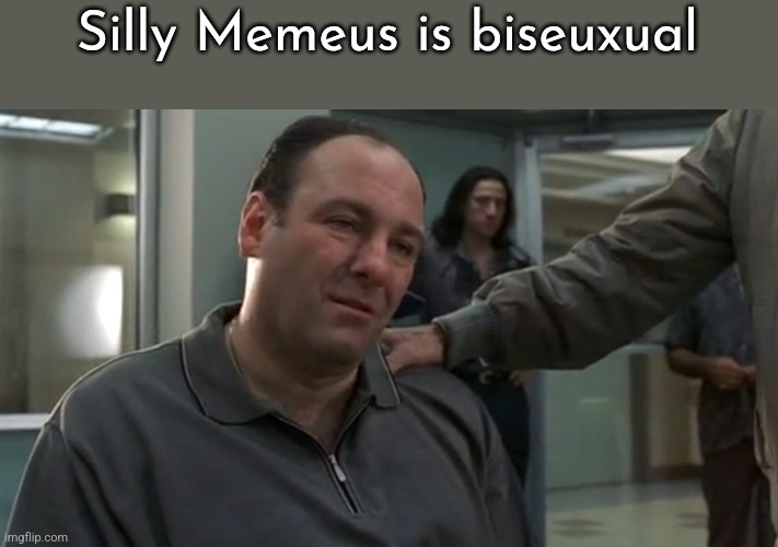 She got the Steve Lacy sexuality | Silly Memeus is biseuxual | image tagged in tony soprano sad | made w/ Imgflip meme maker