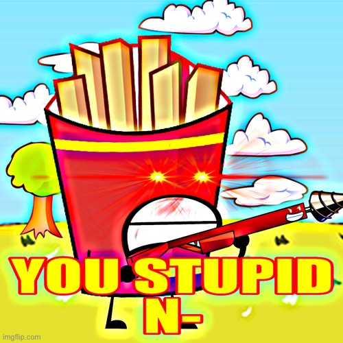 Fries “YOU STUPID N-” | image tagged in fries you stupid n- | made w/ Imgflip meme maker
