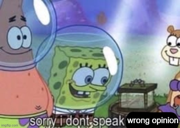 Sorry I don't speak wrong opinion | image tagged in sorry i don't speak wrong opinion | made w/ Imgflip meme maker