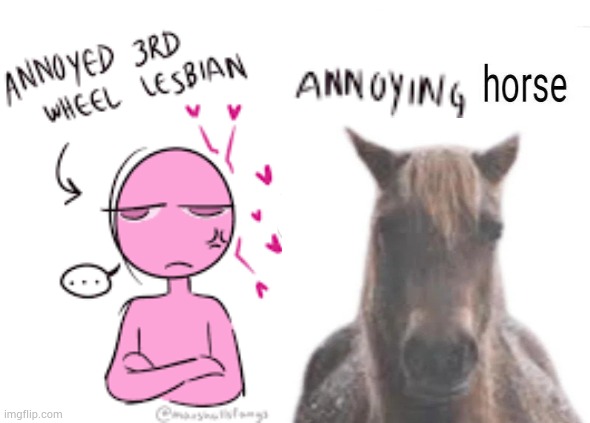 annoying horse | image tagged in annoying gay couple | made w/ Imgflip meme maker
