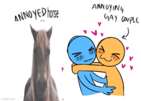 annoyed horse | image tagged in annoying gay couple | made w/ Imgflip meme maker