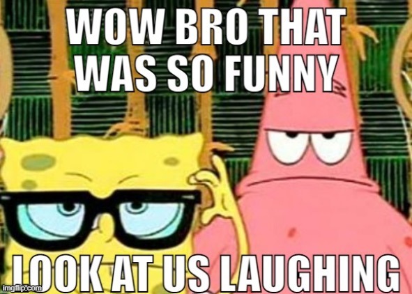 wow bro that was so funny; look at us laughing | image tagged in wow bro that was so funny look at us laughing | made w/ Imgflip meme maker