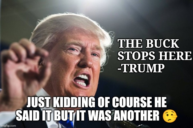 The buck stops with the liberal media and Biden | THE BUCK STOPS HERE
-TRUMP; JUST KIDDING OF COURSE HE SAID IT BUT IT WAS ANOTHER 🤥 | image tagged in donald trump,trump,maga,nevertrump meme,trump sucks,conservatives | made w/ Imgflip meme maker