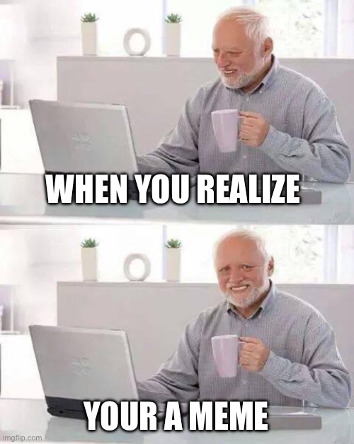 Hide the Pain Harold Meme | WHEN YOU REALIZE; YOUR A MEME | image tagged in memes,hide the pain harold | made w/ Imgflip meme maker