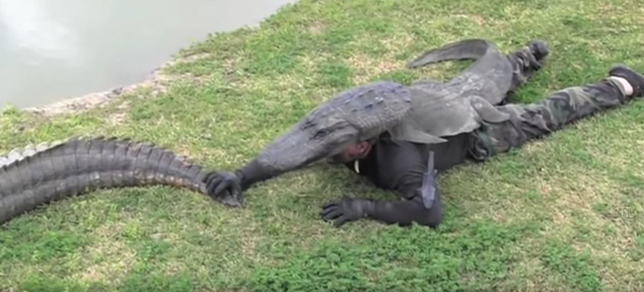 Croc Faker Blank Meme Template