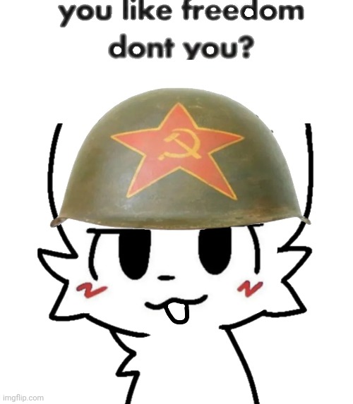 ARTICLE 125. In conformity with the interests of the working people, and in order to strengthen the socialist system, the citize | made w/ Imgflip meme maker