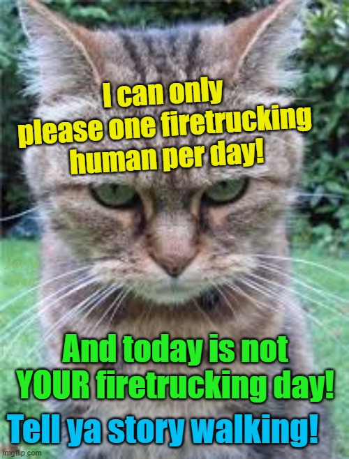 I can only please one firetrucking human per day and today is not your day! | I can only please one firetrucking human per day! Yarra Man; And today is not YOUR firetrucking day! Tell ya story walking! | image tagged in hunter killers,kitty cats,pussy cats,angry cats,piss off,kittens | made w/ Imgflip meme maker