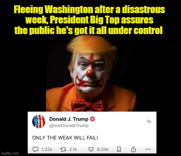 Because Dimwit Donald is Playing  13  Dimensional Chess... | Fleeing Washington after a disastrous week, President Big Top assures the public he's got it all under control | image tagged in impeach trump,tariffs,stock market,donald trump memes,donald trump is an idiot | made w/ Imgflip meme maker