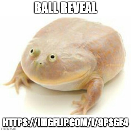 Wednesday Frog | BALL REVEAL; HTTPS://IMGFLIP.COM/I/9PSGE4 | image tagged in wednesday frog | made w/ Imgflip meme maker