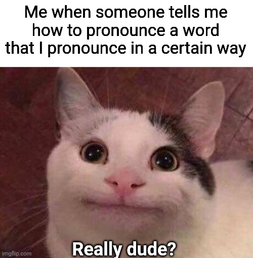 Agree? | Me when someone tells me how to pronounce a word that I pronounce in a certain way; Really dude? | image tagged in polite cat | made w/ Imgflip meme maker