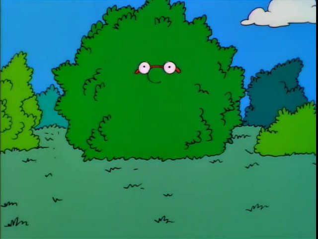 Milhouse Camoflauged Blank Meme Template
