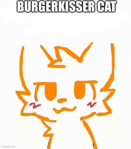 boy kisser furry | BURGERKISSER CAT | image tagged in boy kisser furry | made w/ Imgflip meme maker