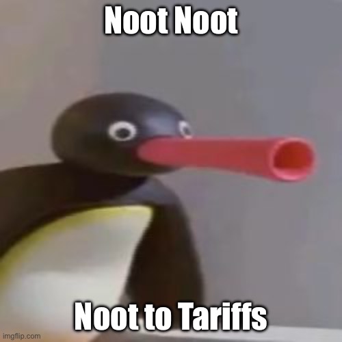 Noot | Noot Noot; Noot to Tariffs | image tagged in noot noot,tariffs | made w/ Imgflip meme maker