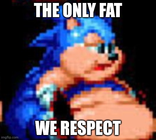 The only fat we respect | THE ONLY FAT; WE RESPECT | image tagged in sonic xl | made w/ Imgflip meme maker