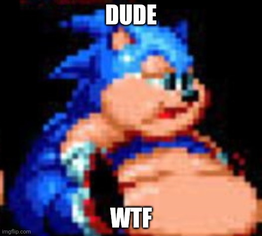 Sonic XL | DUDE WTF | image tagged in sonic xl | made w/ Imgflip meme maker