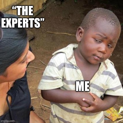 Experts | “THE EXPERTS”; ME | image tagged in memes,third world skeptical kid | made w/ Imgflip meme maker
