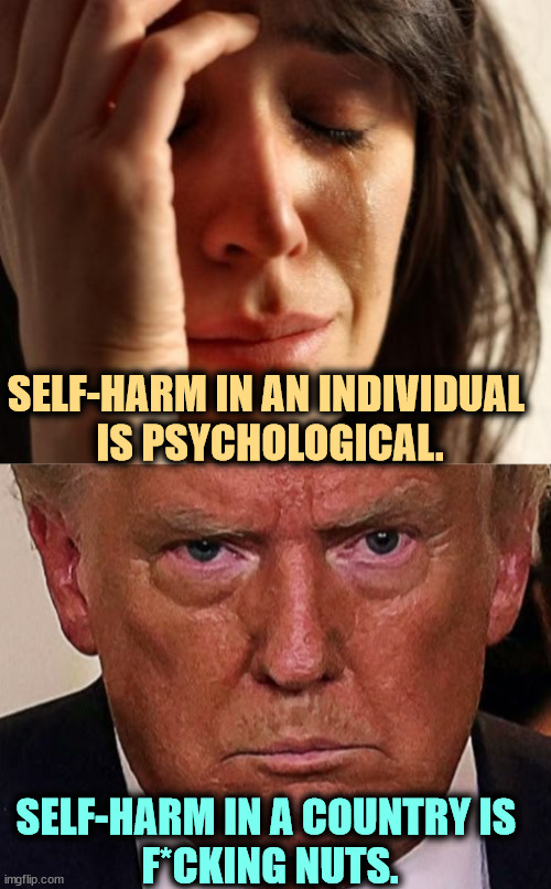 SELF-HARM IN AN INDIVIDUAL 
IS PSYCHOLOGICAL. SELF-HARM IN A COUNTRY IS 
F*CKING NUTS. | image tagged in crying woman,trump angry dilated insane vicious mean frustrated,self harm,psychology,trump,destruction | made w/ Imgflip meme maker