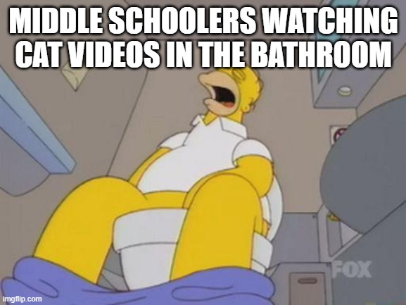 homer simpson toilet | MIDDLE SCHOOLERS WATCHING CAT VIDEOS IN THE BATHROOM | image tagged in homer simpson toilet | made w/ Imgflip meme maker