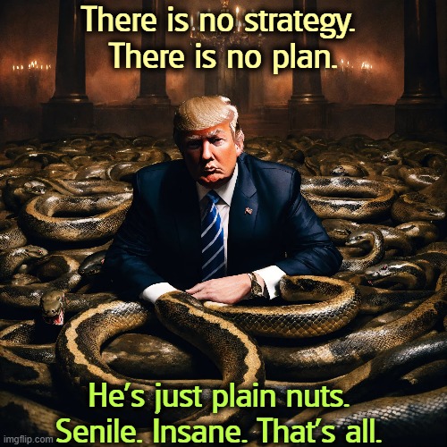 Deporting all brown-skinned Americans is not a plan. Bullying the rest of the world with some Tariff of the Week is not a plan. | There is no strategy. 
There is no plan. He's just plain nuts.
Senile. Insane. That's all. | image tagged in trump,strategy,plan,nuts,insane,senile | made w/ Imgflip meme maker