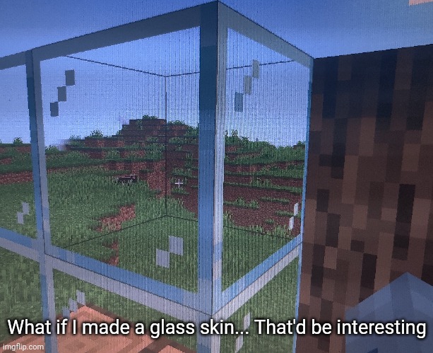 The possibilities now that I know how to do this are endless | What if I made a glass skin... That'd be interesting | made w/ Imgflip meme maker