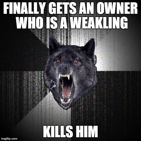 Insanity Wolf Meme | FINALLY GETS AN OWNER WHO IS A WEAKLING KILLS HIM | image tagged in memes,insanity wolf | made w/ Imgflip meme maker