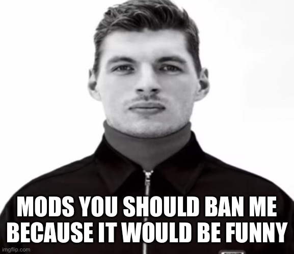 MODS YOU SHOULD BAN ME BECAUSE IT WOULD BE FUNNY | image tagged in black and white max verstappen | made w/ Imgflip meme maker