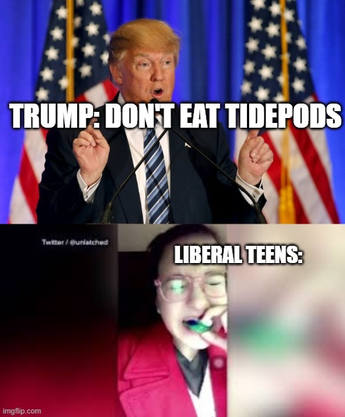 you can't fix foolish | TRUMP: DON'T EAT TIDEPODS; LIBERAL TEENS: | image tagged in trump speech,tide pod challenge | made w/ Imgflip meme maker