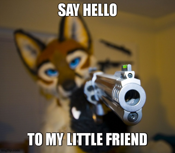 Furry with gun | SAY HELLO TO MY LITTLE FRIEND | image tagged in furry with gun | made w/ Imgflip meme maker